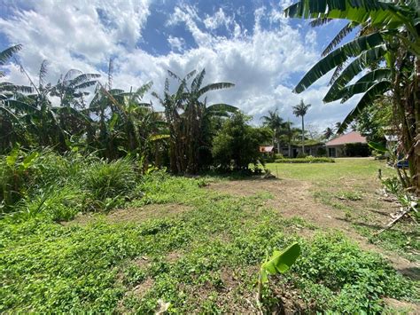batangas lot for sale|Batangas Land for Sale .
